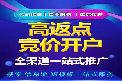 案例研究：关键词竞价排名实战技巧
